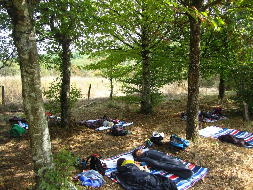 sieste Association Éveil en Forêt